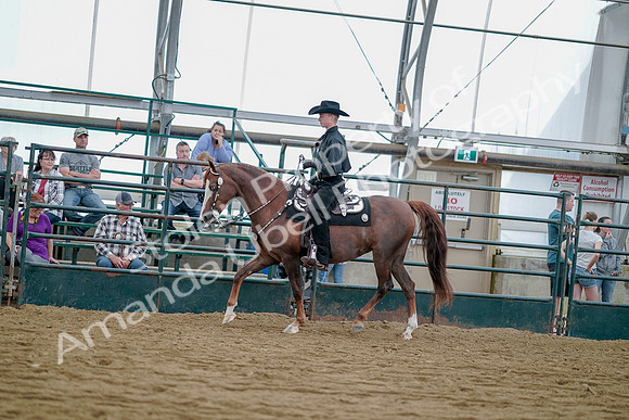 July 21, 2019 - 09017