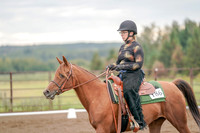 2019 Morgan Horse Show - Aug 30, 2019 - 00214