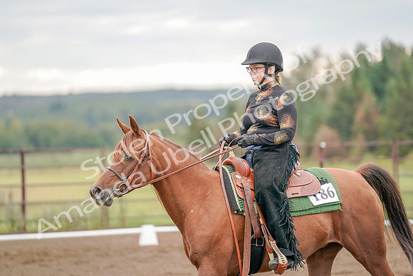2019 Morgan Horse Show - Aug 30, 2019 - 00214