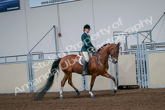 2020 - AB Morgan Horse - Fri, Sept 04 - 01725