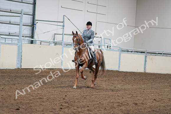 2020 - AB Morgan Horse - Sat, Sept 05 - 03237