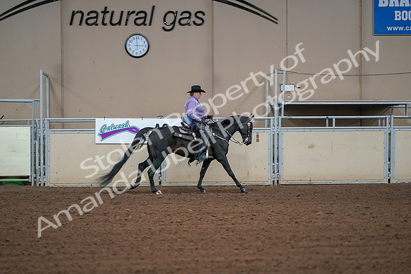 2019 Morgan Horse Show - Aug 30, 2019 - 16989