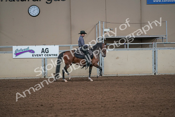 2019 Morgan Horse Show - Aug 31, 2019 - 06190