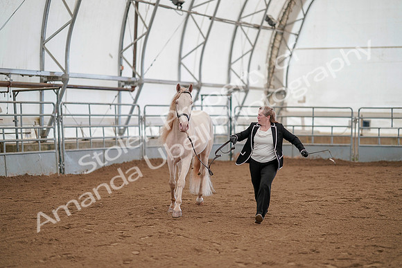July 19, 2019 - 1131