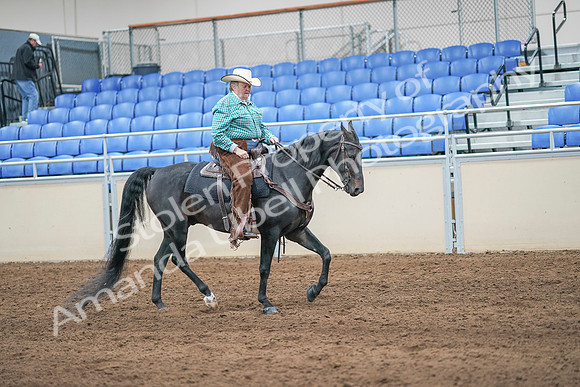 2020 - AB Morgan Horse - Sun, Sept 06 - 01634
