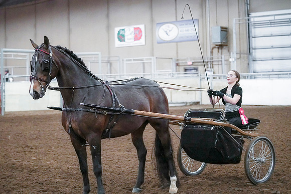 Spring Fling - Saturday - April 20, 2019  -  00325