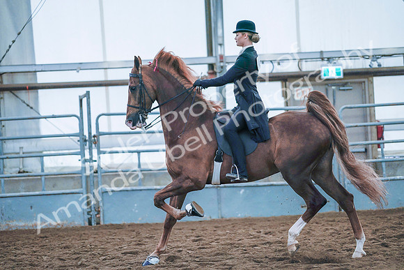July 20, 2019 - 24012