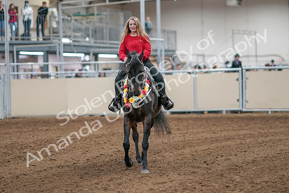 2020 - AB Morgan Horse - Sat, Sept 05 - 10530