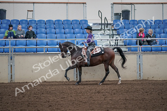 2019 Morgan Horse Show - Aug 31, 2019 - 10640