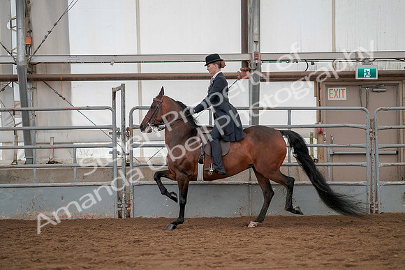 July 20, 2019 - 04387