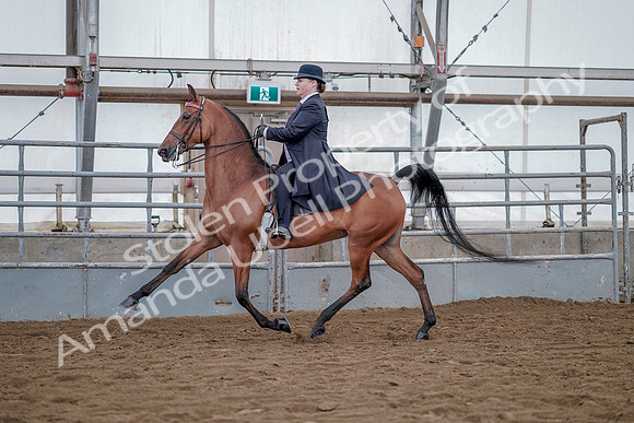 July 20, 2019 - 13912
