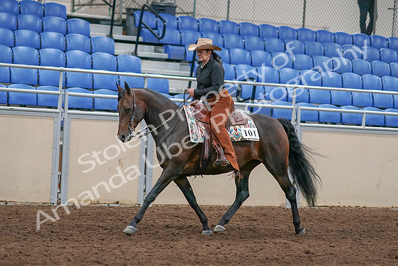 2020 - AB Morgan Horse - Sun, Sept 06 - 01601