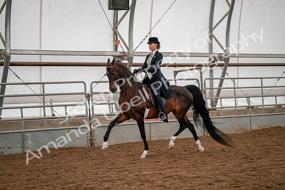 July 19, 2019 - 10523