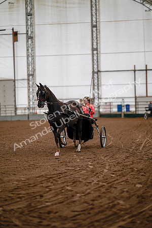 July 19, 2019 - 6700