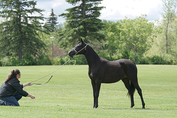 DSC05721