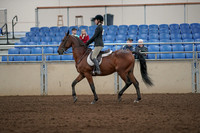 2019 Morgan Horse Show - Aug 31, 2019 - 04833