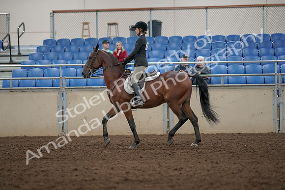 2019 Morgan Horse Show - Aug 31, 2019 - 04833