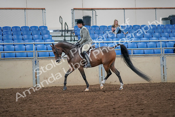 2019 Morgan Horse Show - Aug 30, 2019 - 17285