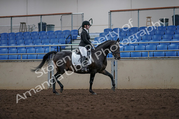 2019 Morgan Horse Show - Aug 31, 2019 - 16726