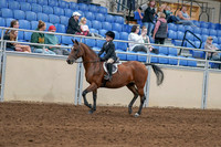 2020 - AB Morgan Horse - Sat, Sept 05 - 10611