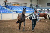2020 - AB Morgan Horse - Sat, Sept 05 - 00245