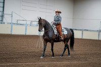 2020 - AB Morgan Horse - Fri, Sept 04 - 00048