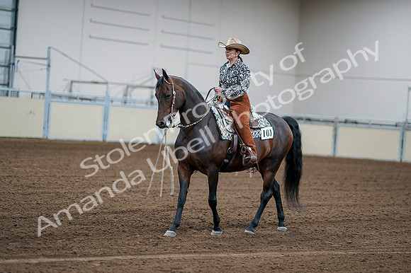 2020 - AB Morgan Horse - Fri, Sept 04 - 00048