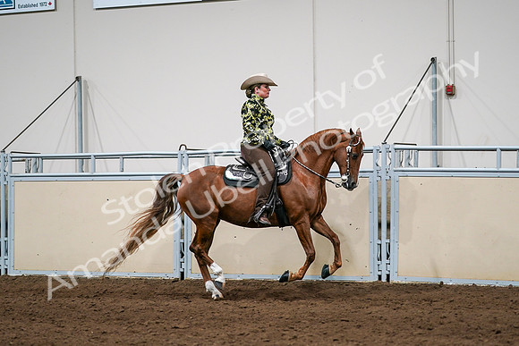 2020 - AB Morgan Horse - Sat, Sept 05 - 08926