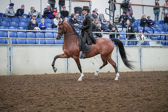 Spring Fling - Saturday - April 20, 2019  -  00686