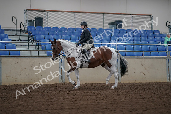 2019 Morgan Horse Show - Aug 30, 2019 - 14862