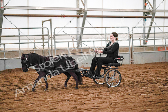 July 19, 2019 - 7010