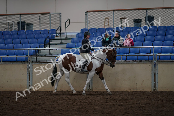 2019 Morgan Horse Show - Aug 30, 2019 - 31404