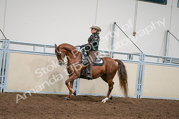 2020 - AB Morgan Horse - Fri, Sept 04 - 08425