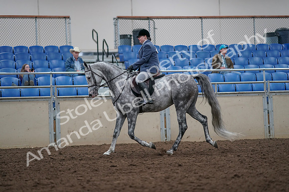 2019 Morgan Horse Show - Aug 31, 2019 - 14776