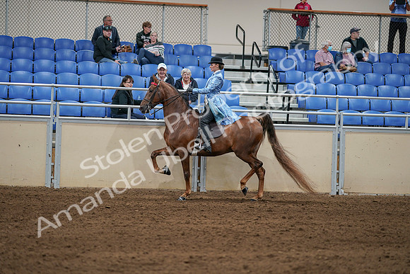 2020 - AB Morgan Horse - Sat, Sept 05 - 06246