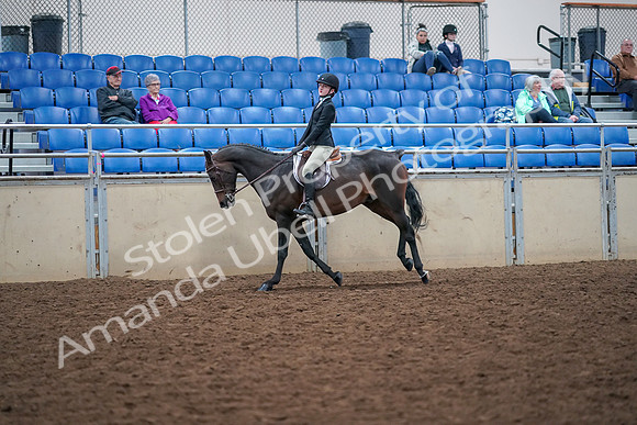 2019 Morgan Horse Show - Aug 30, 2019 - 20558