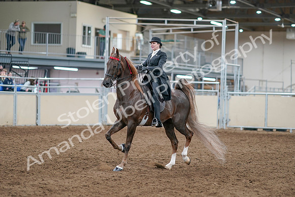 2020 - AB Morgan Horse - Sat, Sept 05 - 12930