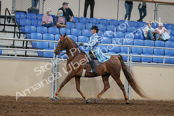 2020 - AB Morgan Horse - Sat, Sept 05 - 06238