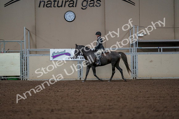 2019 Morgan Horse Show - Aug 30, 2019 - 14939