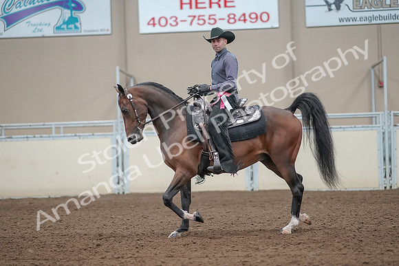 2019 Morgan Horse Show - Aug 31, 2019 - 06289