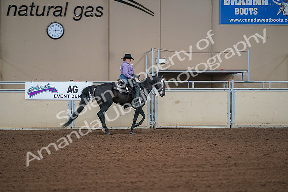 2019 Morgan Horse Show - Aug 30, 2019 - 16994