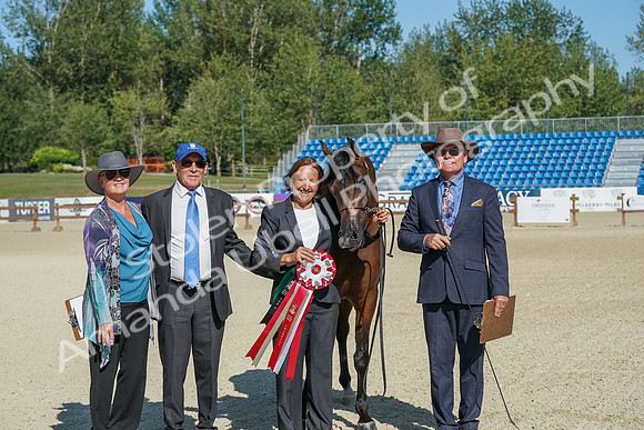 2024 - WCB - July 19 - 03774