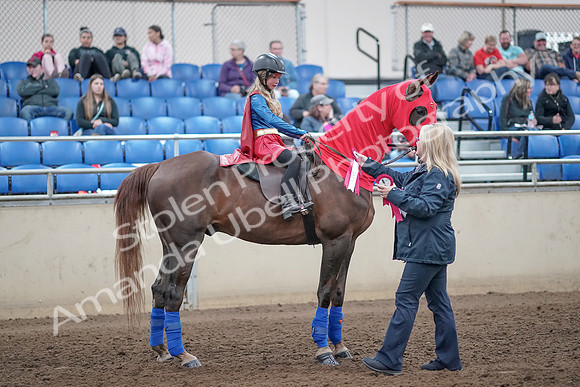 2019 Morgan Horse Show - Aug 31, 2019 - 10185