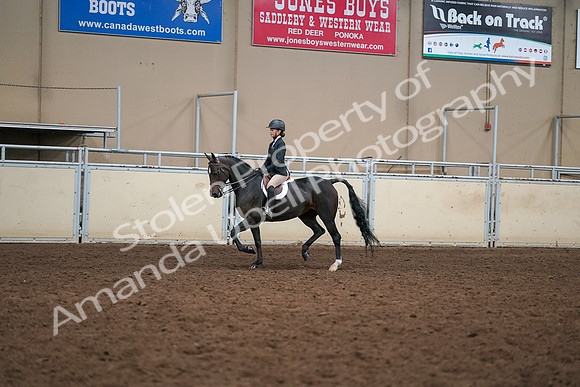 2019 Morgan Horse Show - Aug 30, 2019 - 12192