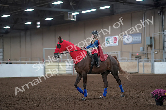 2019 Morgan Horse Show - Aug 31, 2019 - 10065