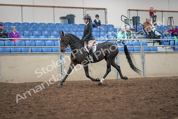2019 Morgan Horse Show - Aug 30, 2019 - 20382