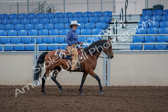 2020 - AB Morgan Horse - Fri, Sept 04 - 00200