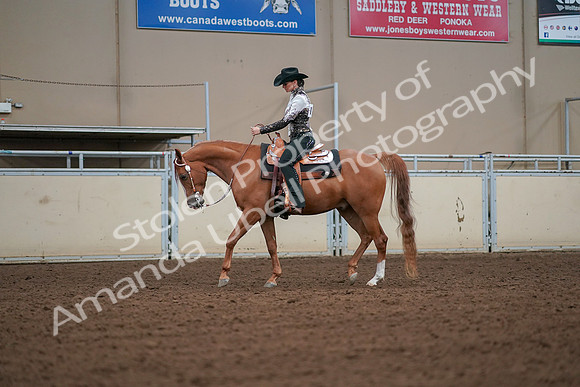 2019 Morgan Horse Show - Aug 30, 2019 - 16785