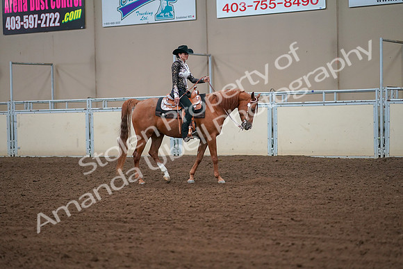 2019 Morgan Horse Show - Aug 30, 2019 - 16919