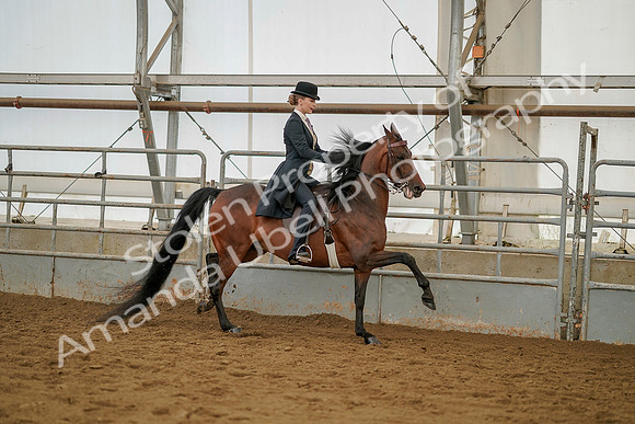July 20, 2019 - 04606